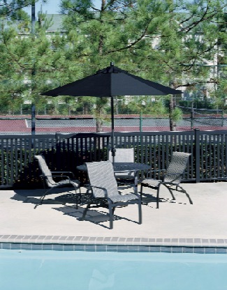 evolution-sling-pool-patio-winston-furniture.jpg