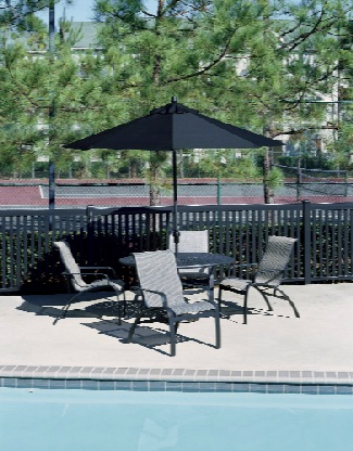 evolution-sling-pool-patio-winston-furniture.jpg